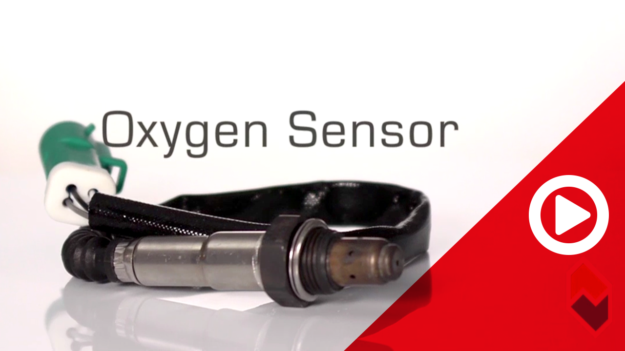 FAE - Oxygen Sensor 